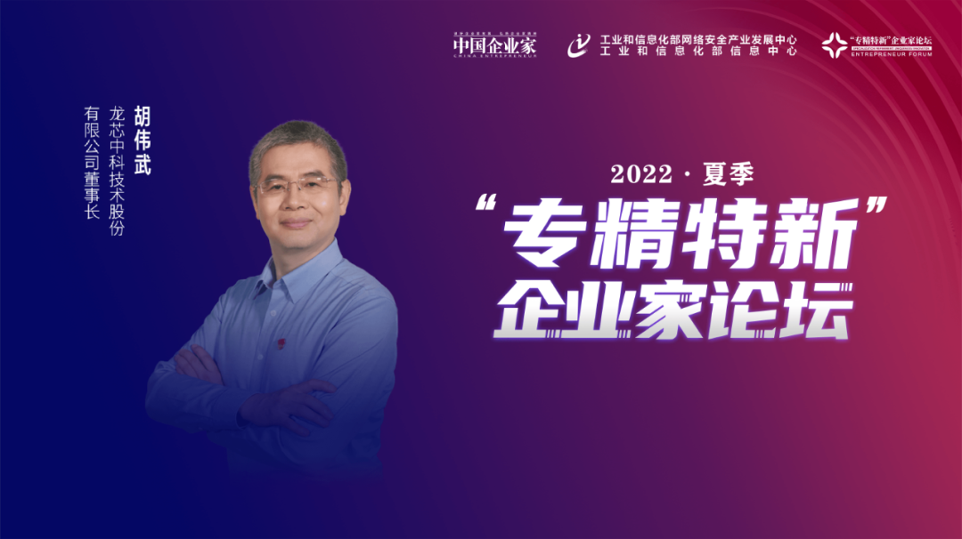 胡伟武:市场带技术,试错中发现问题解决问题